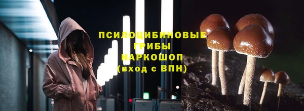 марки nbome Ладушкин